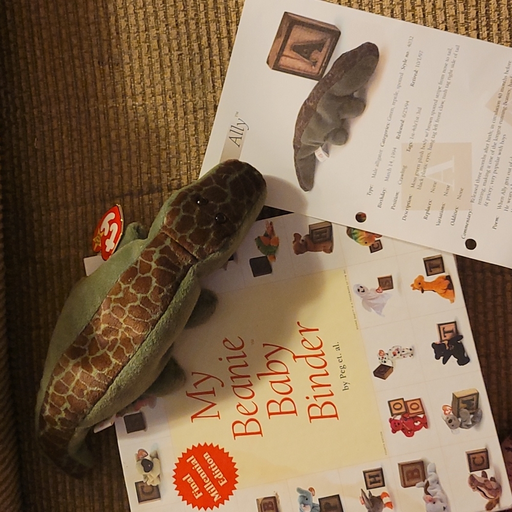 TY Beanie Babies. IN (MINT) condition.Please ask any questions. QUESTIONS..